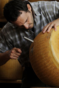 Parmesan Parmesan