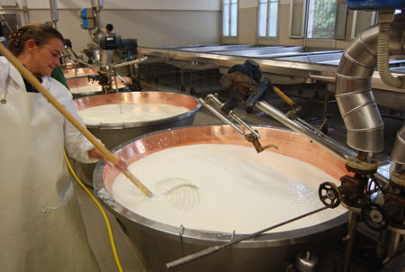 Der Käse wird gebrochen Der Käse wird gebrochen