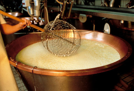Grana Padano Spina Das "Spina" genannte Sieb, mit dem der Käse gebrochen wird.