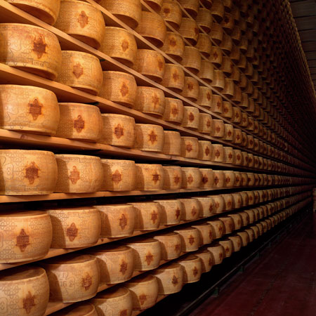 Grana Padano Lagerung Hier lagern und reifen hunderte von Grana Padano-Laibern