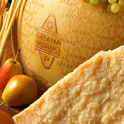 Grana Padano Im Detail erkennt man das Siegel gut.