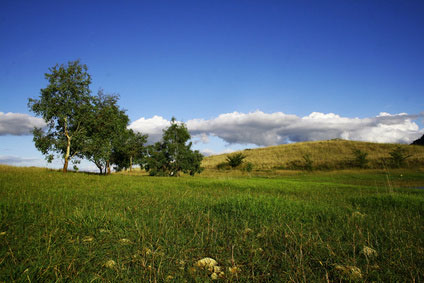 piana_degli_albanesi Die Landschaft um Piana degli Albanesi