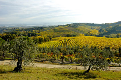 Landschaft in Chianti