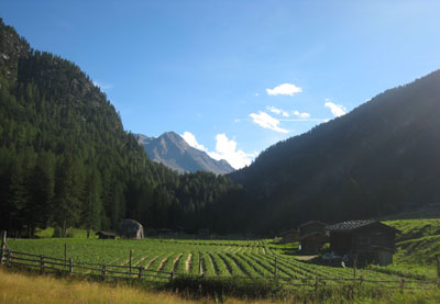 martelltal_landschaft Martelltal