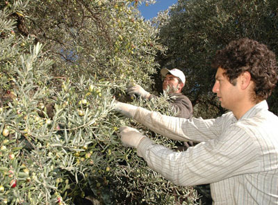 agrestis_ernte2 Die jüngere Generation bei der Ernte