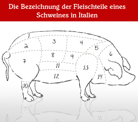 Teilstücke vom Schwein – Woher stammen Schinken, Lardo & Co?