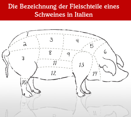 Teilstücke vom Schwein