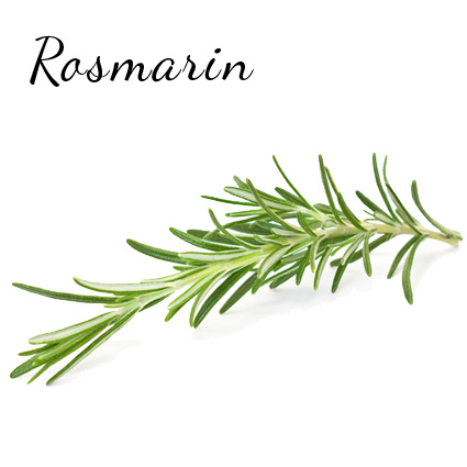 Rosmarin