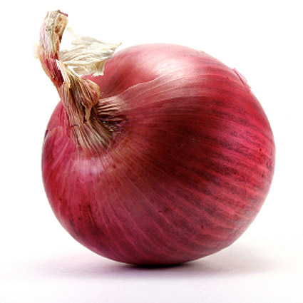 rote zwiebel onion cipolla