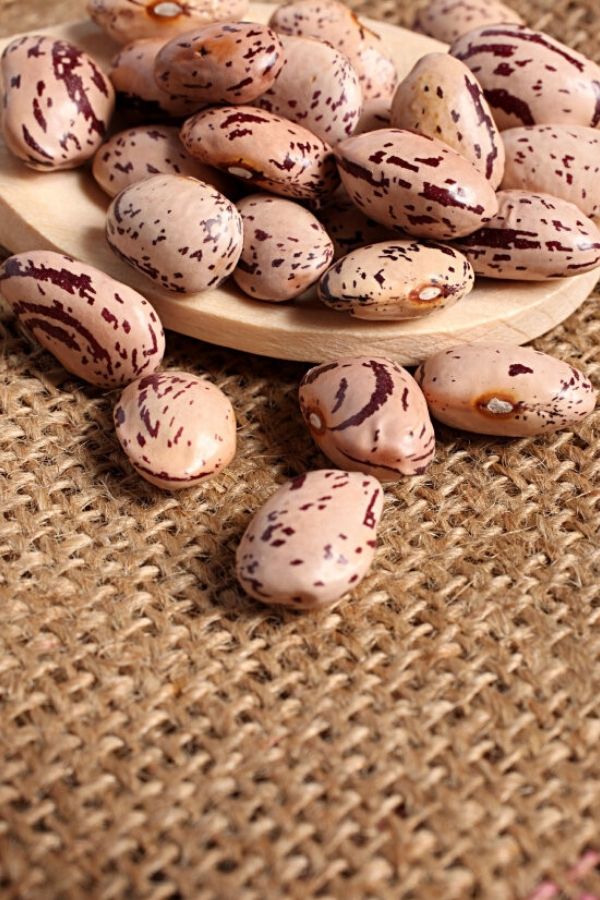 Haricots Borlotti