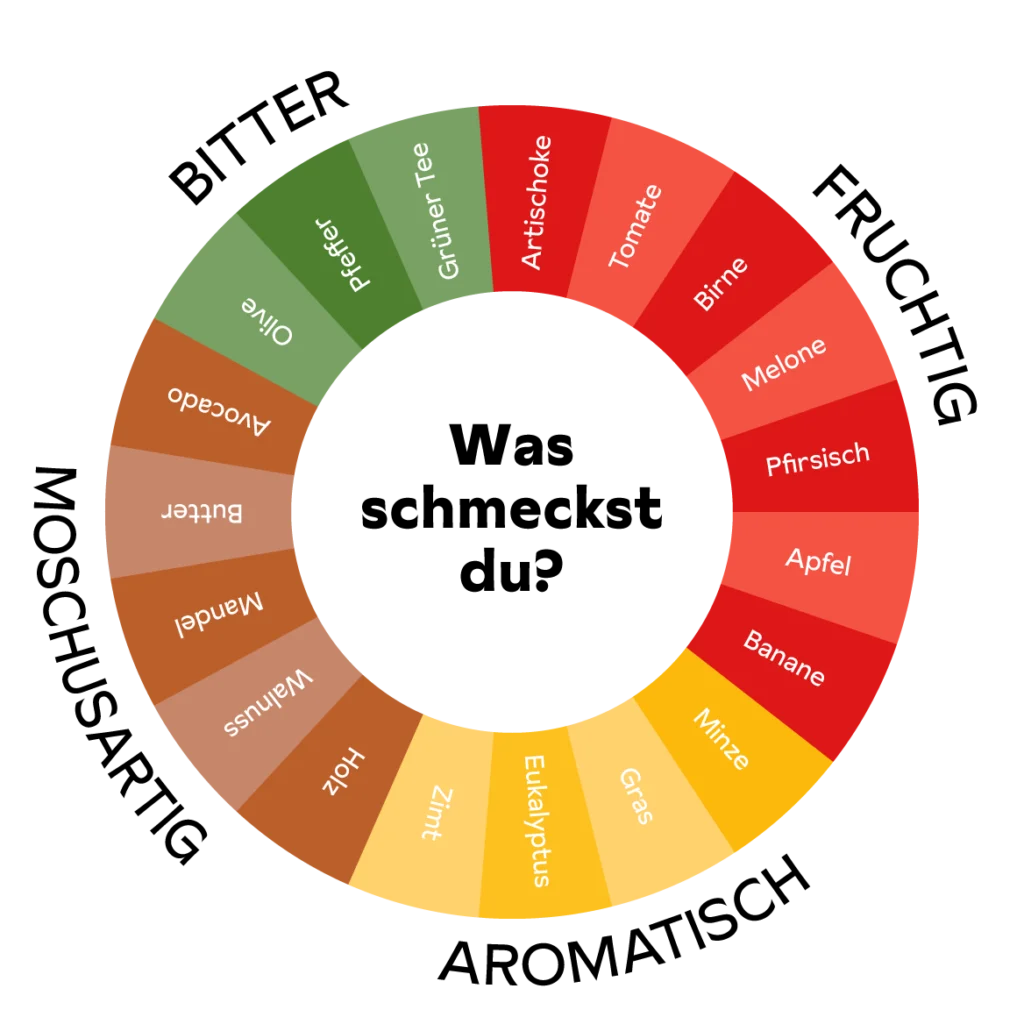 Grafik eines Aromarads zum Olivenöl verkosten