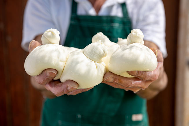 Caciocavallo - Bio 