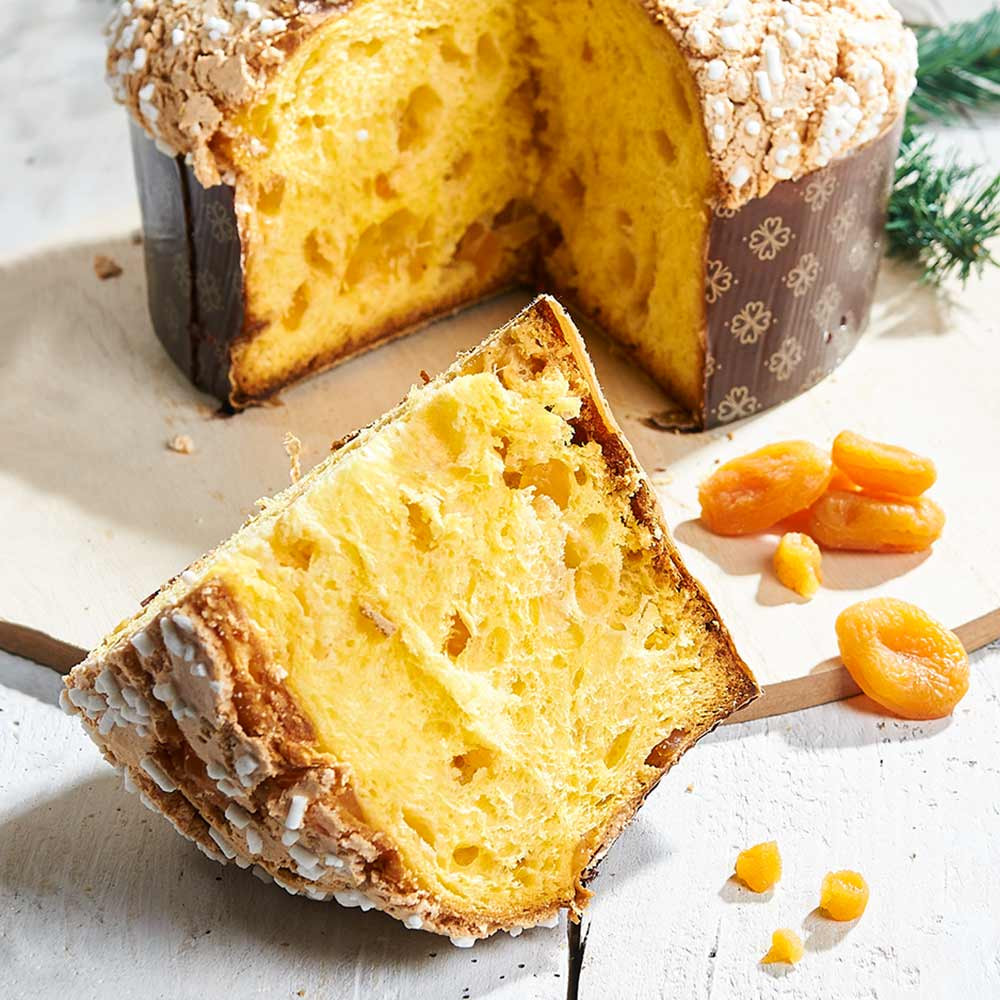 Panettone mit Aprikosen | Gustini Feinkost