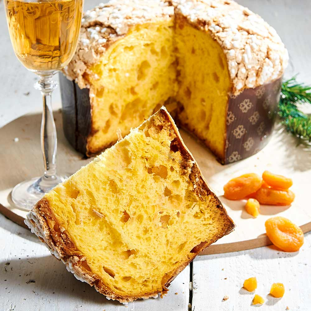 Panettone mit Aprikosen - im Geschenkkarton | Gustini Feinkost Panettone mit Aprikosen - im Geschenkkarton | Gustini Feinkost