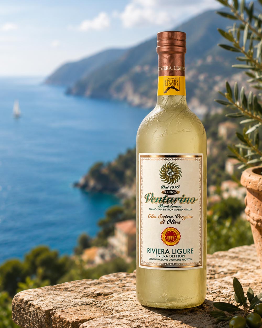Riviera Ligure DOP - mildes Olivenöl aus 100% Taggiasca