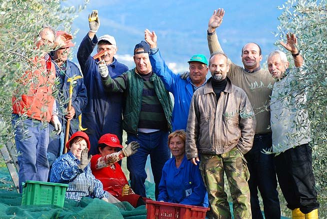 Superbo - bestes Olivenöl Italien 2022